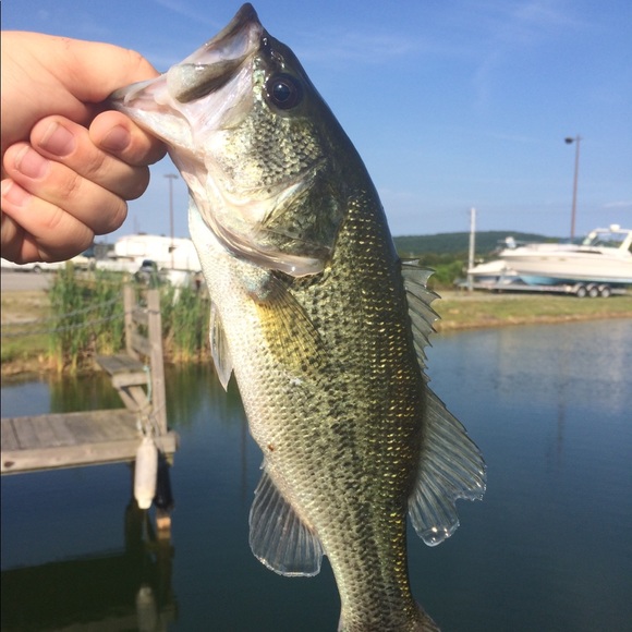 Meet your Posher, Thomas - Picture 1 of 1